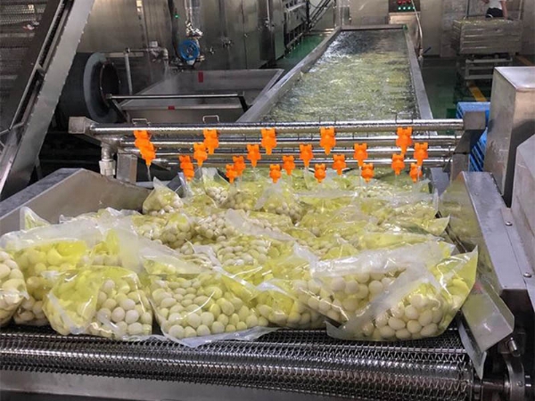 氣泡清洗機投入使用1