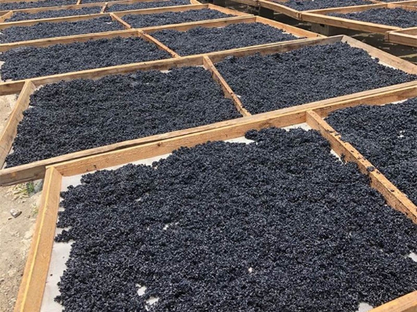 空氣能烘干機(jī)投入使用2