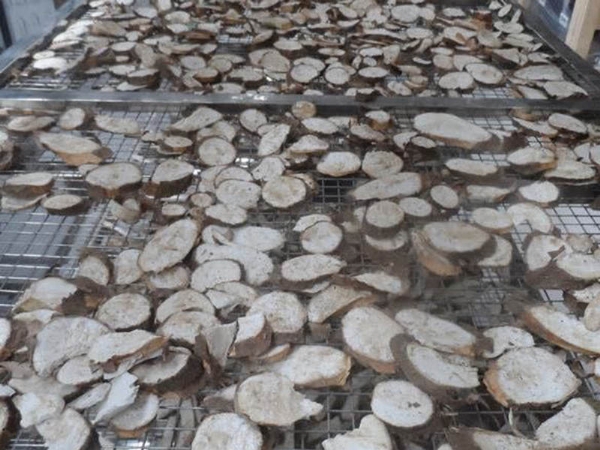 空氣能烘干機投入使用1