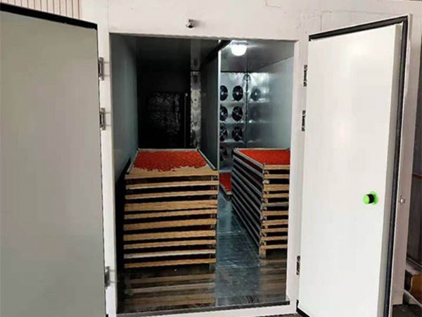 烘干機(jī)烘干果蔬1